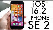 iOS 16.2 On iPhone SE (2020)! (Review)