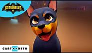 Meet Batman's Puppy | Batwheels | @cartoonito | Kids Videos | Cartoons for Kids