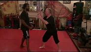 Oct 22 | Technique of the month | Chow Gar Southern Praying Mantis Kung Fu | Bic Sarn