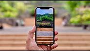 iPhone XR Detailed Camera Review | 2024