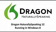 Dragon NaturallySpeaking Voice to Text on Windows 8