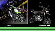 Kawasaki KLX125 & D-TRACKER 125 2010