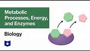 Metabolic Processes, Energy, and Enzymes | Biology