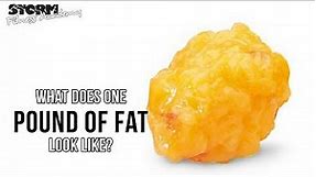 WHAT DOES A POUND OF FAT LOOK LIKE? | Storm Fitness Academy