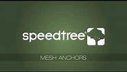 SpeedTree 8: Mesh Anchors