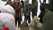 Raw Video: Putin Tags Polar Bear