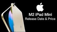 iPad Mini M2 Release Date and Price – POWERFUL & SMALLEST iPad EVER!!