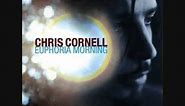 Chris Cornell - Euphoria Morning - 1 - Can't Change Me