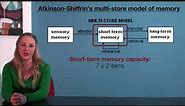 VCE Psychology - Atkinson-Shiffrin's Multi-Store Model of Memory