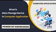 What is mass storage device in Computer Application