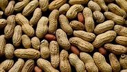 A look at the new peanut allergy breakthrough