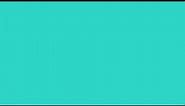 TURQUOISE - RGB Color Code #30D5C8