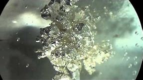 Grow Silver Metal Crystals by Electrochemistry