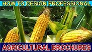 HOW TO DESIGN PROFESSIONAL AGRICULTURAL BROCHURE