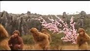 Sun Wukong 2010 - Khmer Dubbed Chinese Movie P01