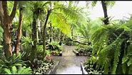 Beautifull Tropical garden house idea 2024