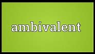 Ambivalent Meaning