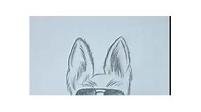 Easy and Simple German Shepherd Dog Face Drawing | #Shorts