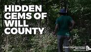 Hidden gems of Will County: Sedge meadow at Potawatomi Woods