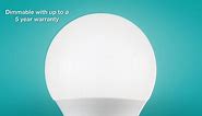 60-Watt Equivalent A19 Non-Dimmable LED Light Bulb Soft White (16-Pack) 11A19060WULND01