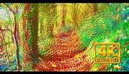 Magic/psilocybin mushroom trip simulation (4k visuals)
