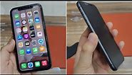 Ultra Matte Privacy Screen Protection - Installation & First Look on iPhone 11 - First Time in India