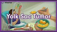 Yolk Sac Tumor (Endodermal Sinus Tumor) | Mnemonic for USMLE