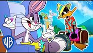 Looney Tunes | Summer Vacation! | WB Kids