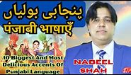 10 Punjabi Accents | Interesting Punjabi Language Accents | Nabeel Shah Official #nabeelshah
