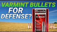 Varmint Bullets For Defense? .300AAC 110gr V-Max gel test