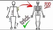 human skeleton diagram / how to draw human skeleton drawing easy