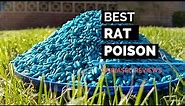 10 Best Rat Poison | The Best Rat Poison to buy in 2020 | Honest Review