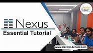 Nexus Fundamental Tutorial for Beginners by Rajesh Kumar