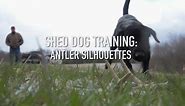 Sportsman's Notebook: Training With Antler Silhouettes