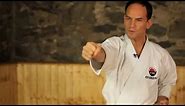 How to Do a Basic Punch | Karate Lessons
