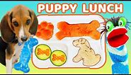 Fizzy Helps Pack a Puppy Dog Theme Lunch for School Lunch Box