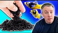 5 Things You Need to Know About Using Carbon In Your Fish Tank