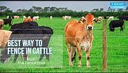 Learn the BEST Fencing in cattle