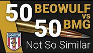 50 Beowulf vs 50 BMG: Freedom Loves a 50 Cal