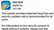 iOS 16.6—Apple Fixes 25 Security Flaws
