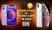 iPhone XS Max Vs iPhone 12 mini For BGMI PUBG in 2024 | Which is Best?