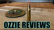 Beginner Basics #16 The 223 Remington Caliber (pros/cons)