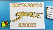 How to Draw a CHEETAH
