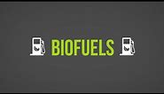 Biofuels 101