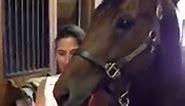 Horse blows out his birthday candles
