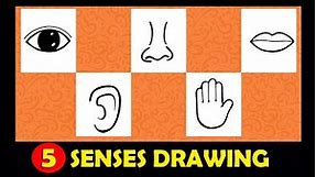 How To Draw Sense Organs || 5 Senses Drawing For Kids || Super Easy