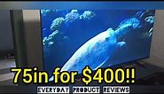 75 inch Hisense R6 Roku TV Review - By Everyday Product Reviews