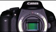 Sensor Cleaning Canon EOS DSLR DIY