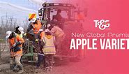 T&G Global Reveals New Global Premium Apple Variety Joli™; Gareth Edgecombe Comments