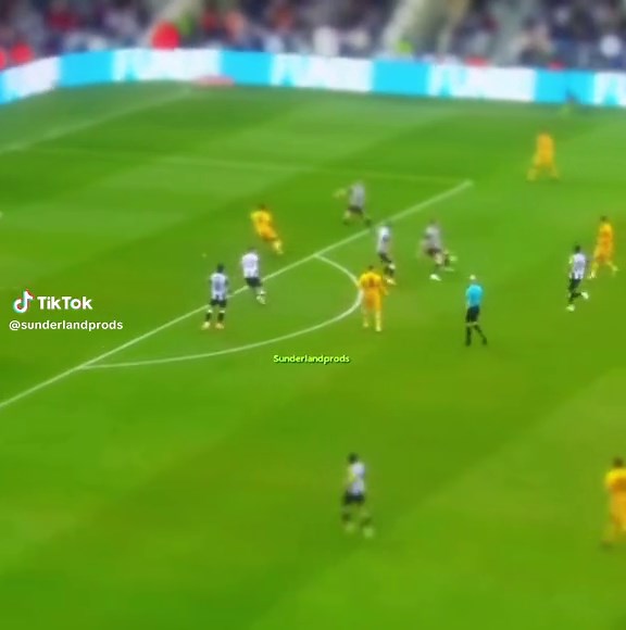 Sunderland Fans Celebrate Their Passion for Football